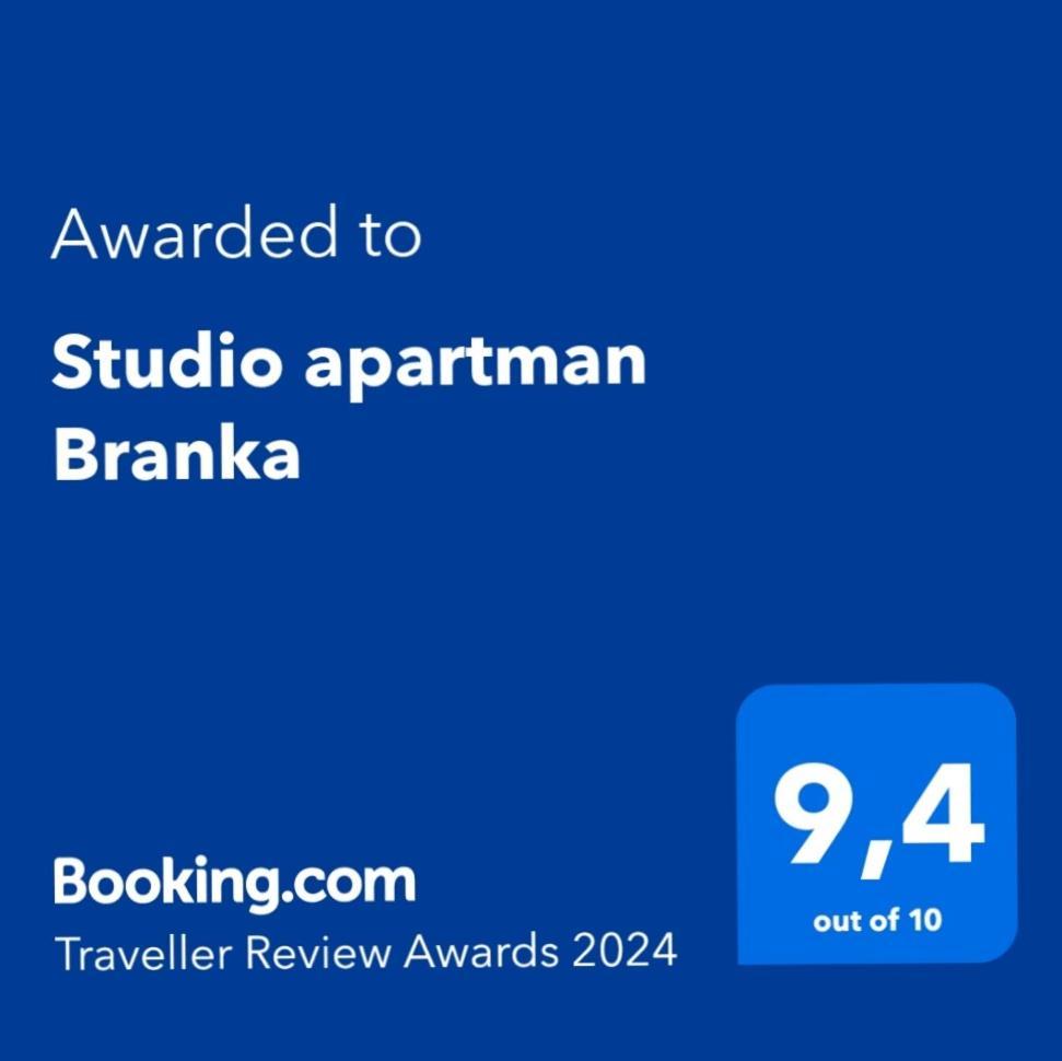 Studio Apartman Branka Labin  Exteriér fotografie